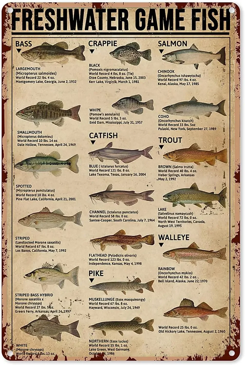 Home Decor Games - Fishing Art Posters Metal Sign Freshwater