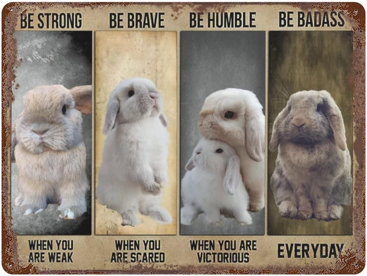 Vintage Wall Decor Bunny Rabbi - Home Decor Quotes incelemesi ve fiyatı