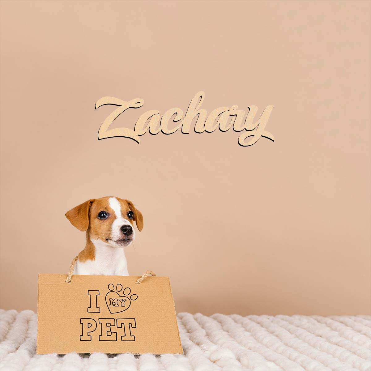 1pc home decor Zachary example - Home Decor Examples incelemesi ve fiyatı